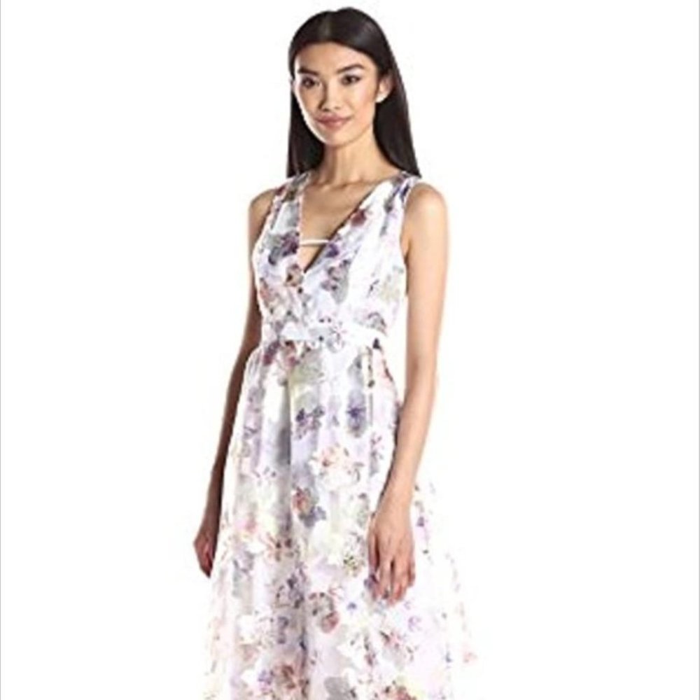 BCBGeneration | Organza & Tulle Ethereal Floral 🌸 Embroidered Gown